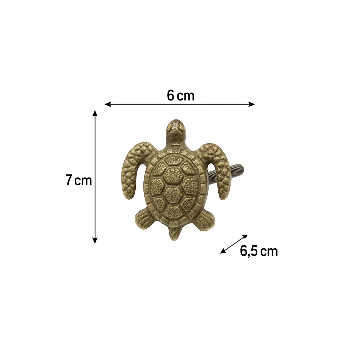 Antique Turtle Drawer Knob - Image 5