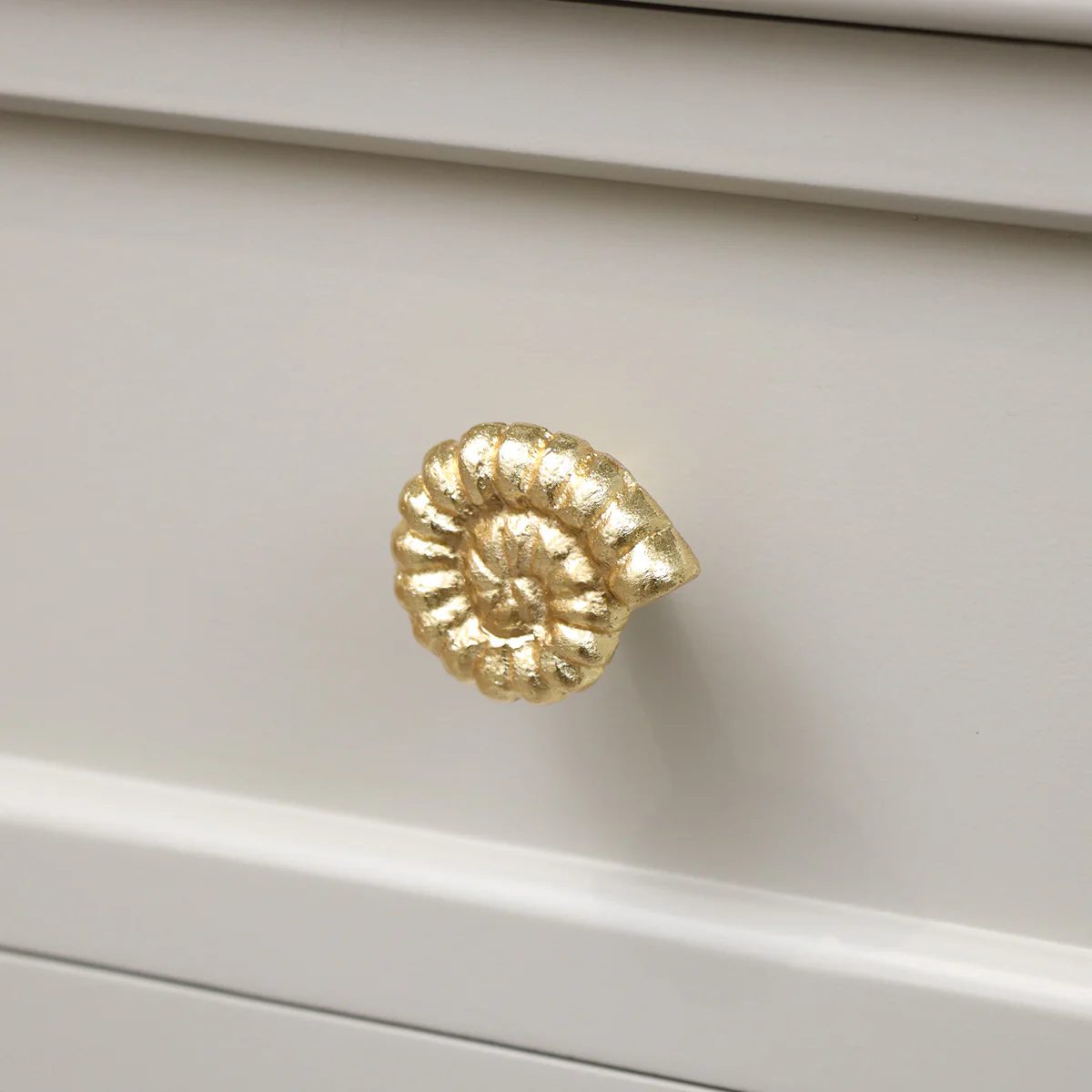Gold Fossil Drawer Knob - Image 3