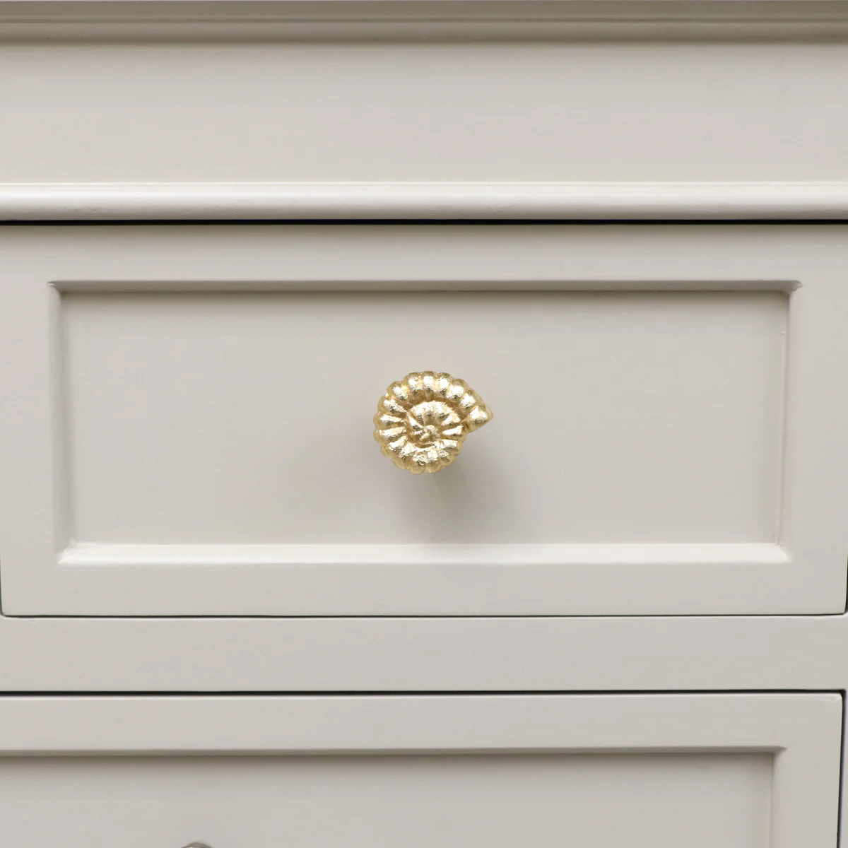 Gold Fossil Drawer Knob - Image 4