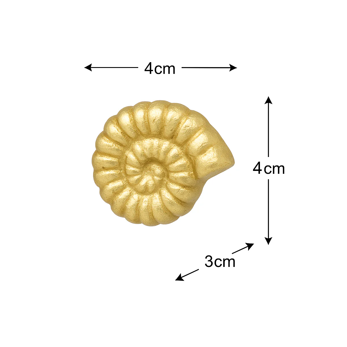 Gold Fossil Drawer Knob - Image 5