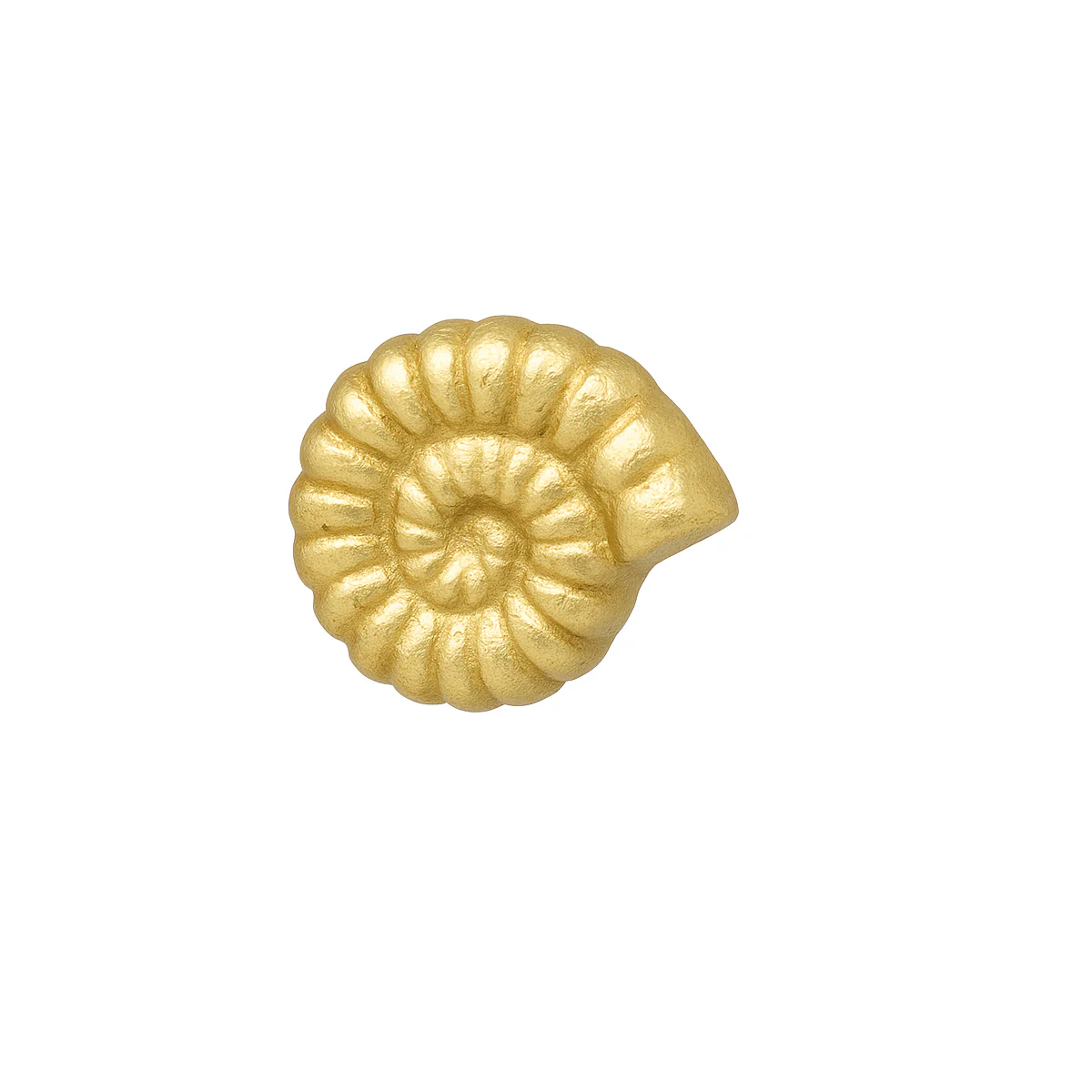 Gold Fossil Drawer Knob - Image 6
